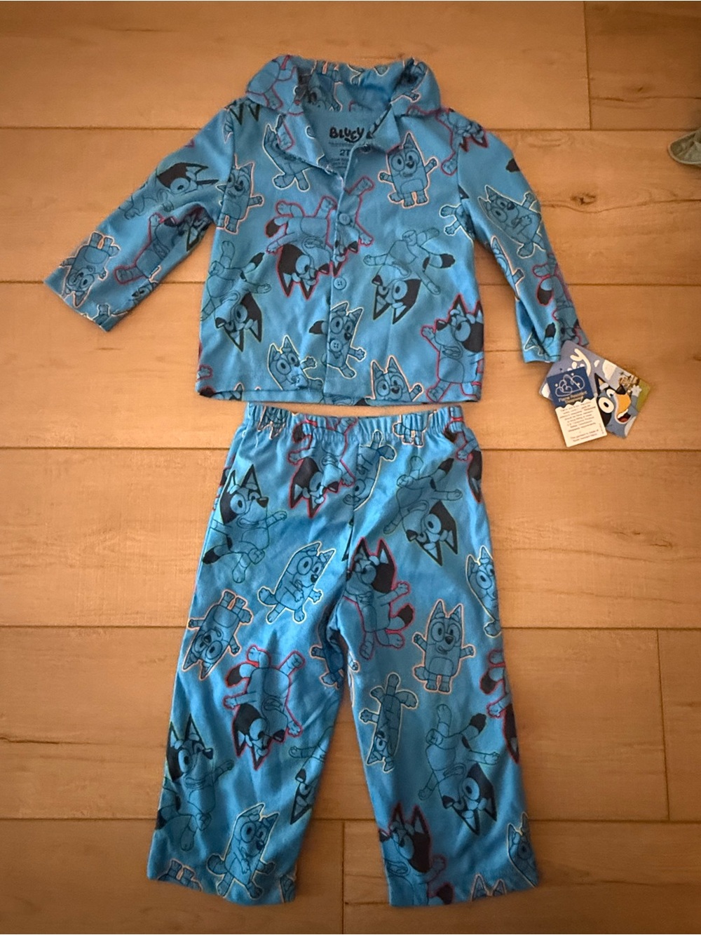 Disney Bluey Boys Long Sleeved Fleece Pajama Set Blue 2T